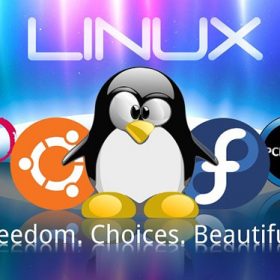 Linux bước sang tuổi 24