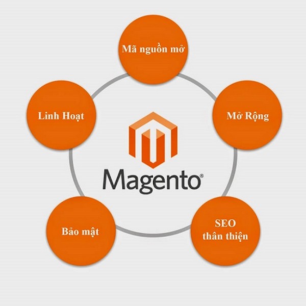 Những lý do nên sử dụng Magento