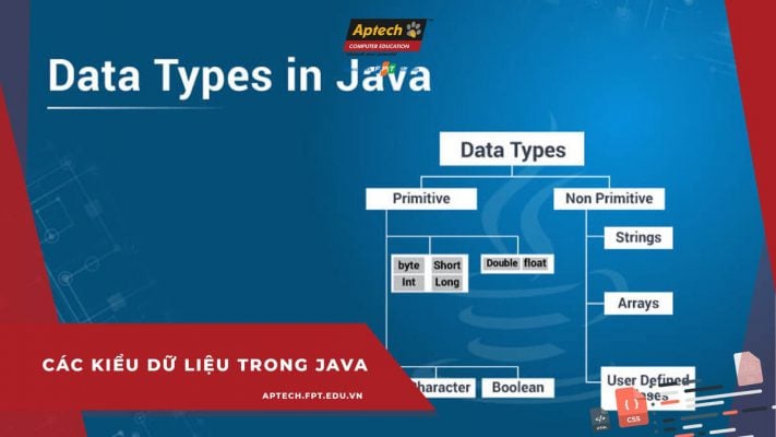 Java và các kiểu dữ liệu trong Java bạn cần biết