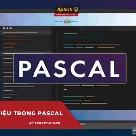 Các kiểu dữ liệu trong pascal cơ bản thường dùng mà người mới cần biết