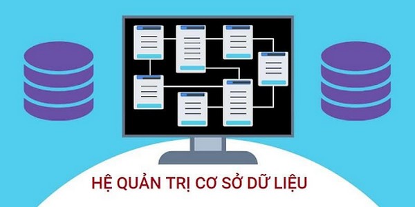 Các Kiểu Dữ Liệu Trong Access Cơ Bản Nhất Cho Người Mới