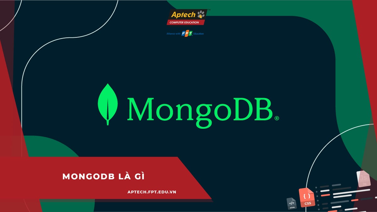 Kiểu dữ liệu trong MongoDB  MongoDB Toàn Tập