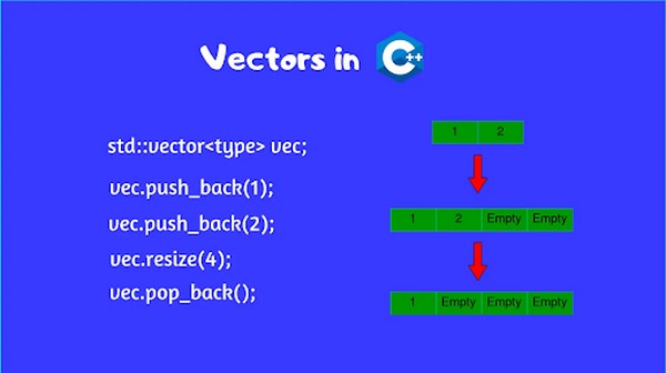 Những hàm sử dụng với Vector C++