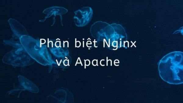Sự khác biệt về hiệu quả giữa Nginx và Apache