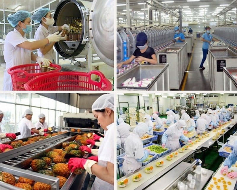 Nhu cầu lực lượng lao động ngành Công nghệ đồ ăn càng ngày càng khan hiếm
