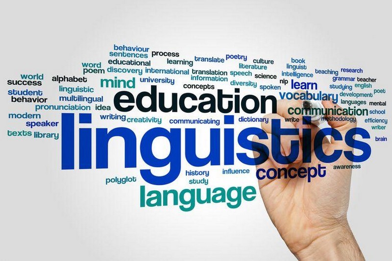 Khối D15 có thể học ngành Nhân văn – khoa Ngôn ngữ