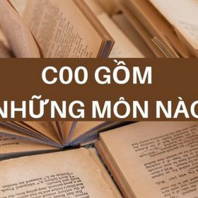 Khối C00 gồm những môn nào? Tổng hợp các ngành khối C00 triển vọng nhất 