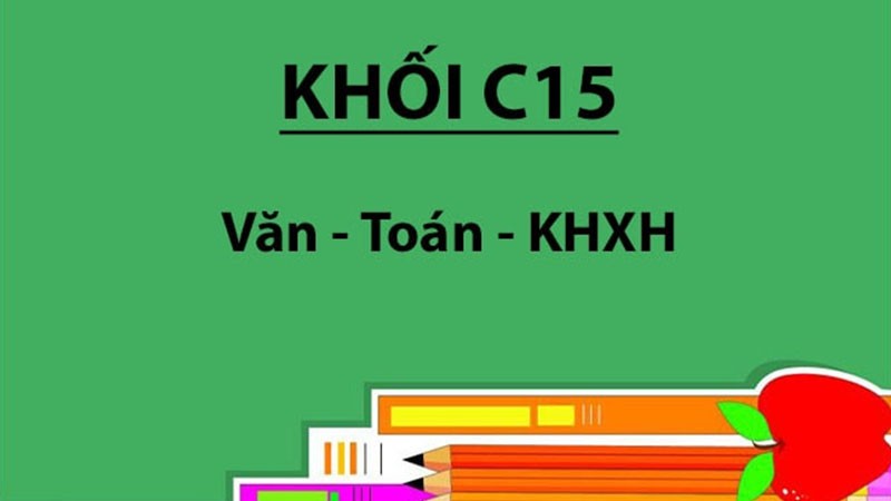 Khối C15 cần trình độ chuyên môn cao giúp sinh viên hiểu rõ vấn đề về xã hội, cuộc sống, văn hóa, kinh tế,...