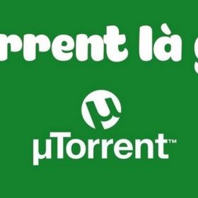 Torrent là gì? Cách hoạt động, đánh giá ưu nhược điểm