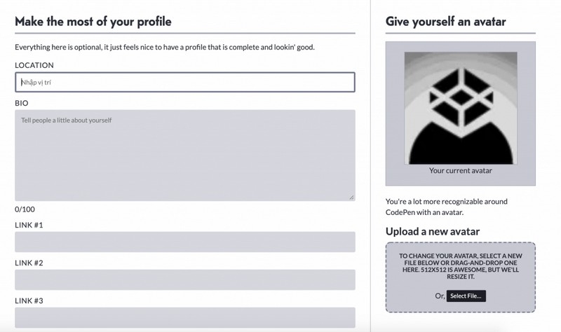 Giao diện cập nhật thông tin người dùng khi đăng ký tài khoản Codepen