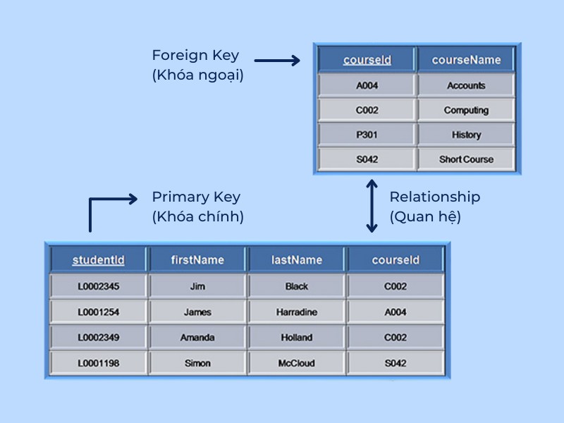 Attribute – Thuộc Tính