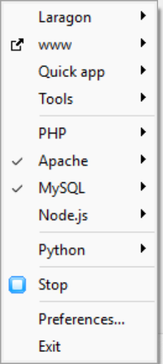 Hướng dẫn cập nhật trong Laragon 6.0