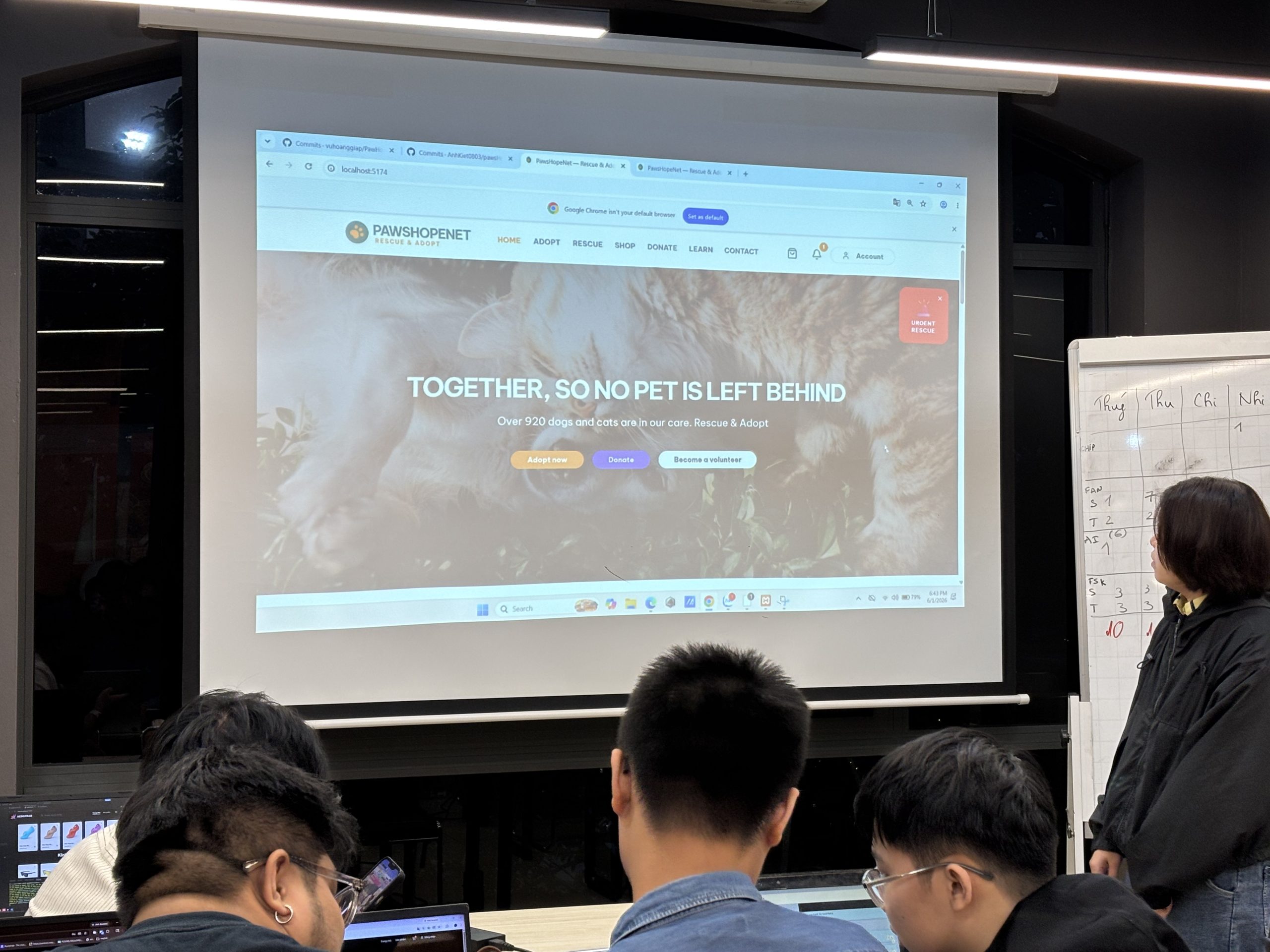 Weekly Review